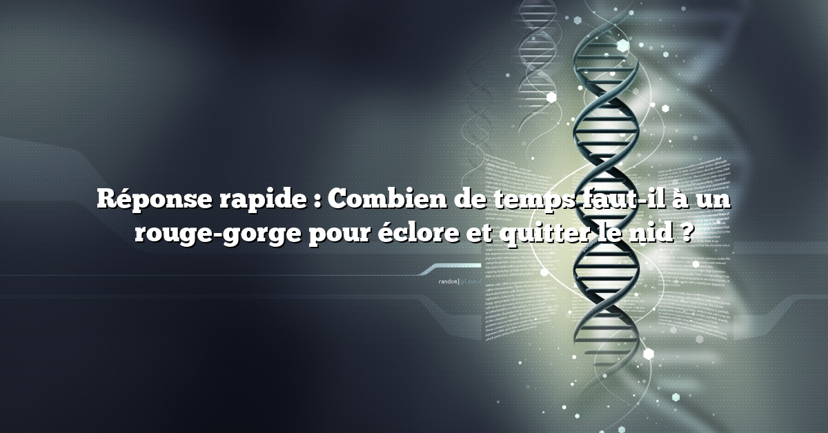 Réponse rapide : Combien de temps faut-il à un rouge-gorge pour éclore et quitter le nid ?